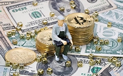 泉州市公布了行政处罚裁量权典型案例